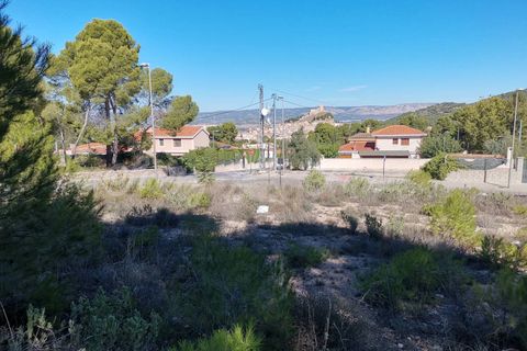 Terra a Biar, Alicante, Biar - € 129.500 | Ref: SF0365 - foto 5
